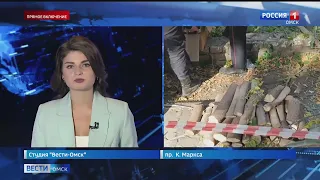 В доме на Карла Маркса, где вырубили деревья, жил авиаконструктор Туполев
