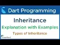 Dart INHERITANCE Explanation Object Oriented Programming in Dart 2