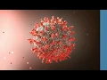 How to Prevent Germs and Virus from Spreading Coronavirus House Cleaning Tips