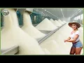 Download Lagu How Sugar Is Made - Massive Million Tons of Sugar Processing In Factory