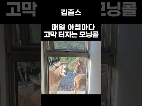 한번도 원한 적 없는... 모닝콜