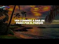 Calle 13 - Muerte En Hawaii (Lyrics)