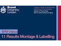 SPM Tutorial 11 - Montage and Labelling