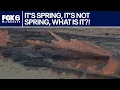The Isobar It s spring it s not spring FOX6 News Milwaukee