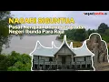 Download Lagu NAGARI SIGUNTUA: PUSAT KERAJAAN DHARMASRAYA DAN NEGERI IBUNDA PARA RAJA