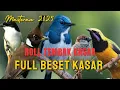 Download Lagu MASTERAN CENDET TERBAIK MATERI FULL TEMBAKAN PALING DI CARI VIRAL TAHUN 2025, CENDET GACOR ISIAN