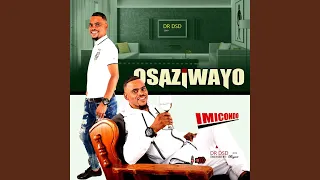 sisayibambile