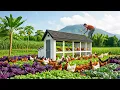 Download Lagu TIMELAPSE: Orphan Boy Building Wooden Chicken Coop For His Countryside Farm And Farming Life