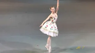 يادارة دوري فينا   فيروز دندنها