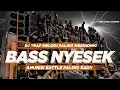 Lagu DJ TRAP MELODI PALING MERINDING || FULL BASS NYESEK DIHATI || AMUNISI BATTLE PALING SAD‼️