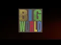 Hovvdy - What I Had (lyrics)