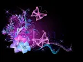 Stefan KC - Rainbow Butterflies