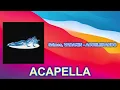 Grimes, VADAKIN - ACCELERANDO (ACAPELLA) Vocals Only