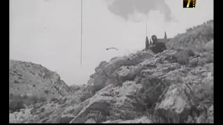 فيلم الفهد 1972 