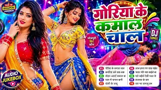 2026 के हॉट झूमता भोजपुरी धमाका | #भोजपुरी #आर्केस्ट्रा | New Bhojpuri Nonstop Songs