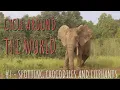 Download Lagu Spotting crocodiles🐊 and elephants🐘 | CATW#8 | BikingBass