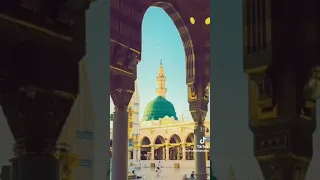 آرازو دارم که بینم خاک بیت الله را 