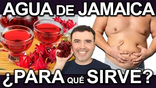 AGUA DE JAMAICA EN AYUNAS - Beneficios, Como Hacerla Y Contraindicaciones Para La Salud