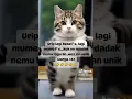 Download Lagu Lagu Doraemon versi Jawa #laguviral #lagudoraemon #lagudoraemonjawa #shortvideo #shortsvideo #shorts