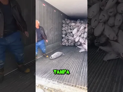 Pekerjaan ini gak asalan orang bisa melakukannya