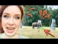 Download Lagu 🚨 CHAOS ON SET: 🐘 ELEPHANTS out of nowhere!!