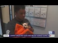 Banfield aims to help curb veterinarian shortage with NextVet program