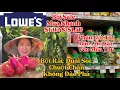 Download Lagu Lowe’s Clearance Rẻ Phân Đất Tốt, Cây Giống, Bột Rắc Đuổi Chuột Sóc Chồn Ra Khỏi Vườn