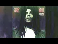 Skip Marley - Calm Down (Acoustic / Audio)