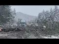 ODOT dashcam shows tree fall misses car on I-5