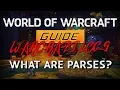 World Of Warcraft Guide - What are parses aka WarcraftLogs scores