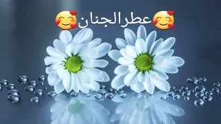 اللهم يامن اجاب نوحآ حين ناداة اجمل دعاء مستجاب القارئ محمد البراك 