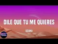 Ozuna - Dile Que Tu Me Quieres  (Letra/Lyrics)