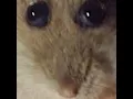 I gotta get outta here
