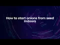 Download Lagu How to start onions from seed indoors