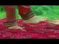 Indian actress feetworship