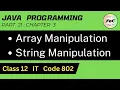 Java Programming Class 12 Array String Manipulation Information Technology IT Code 802