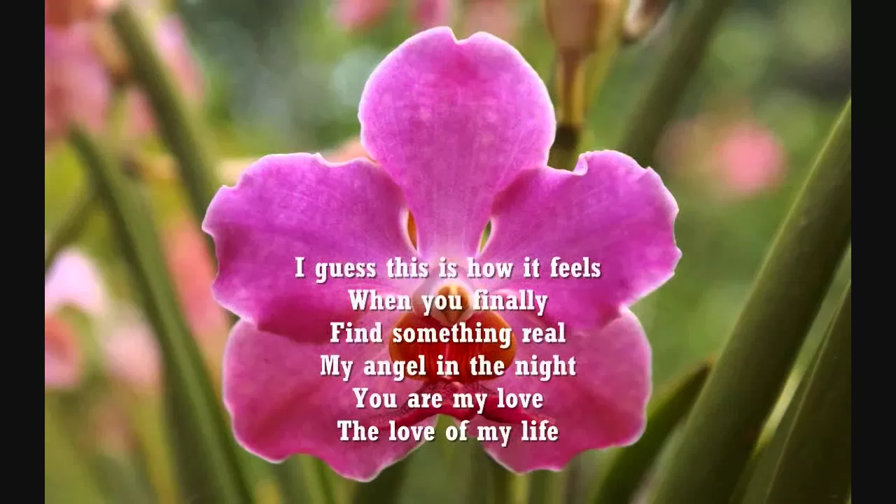 Love Of My Life - Michael W. Smith