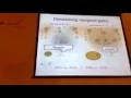 Stefanie Jegelka 1 Submodularity
