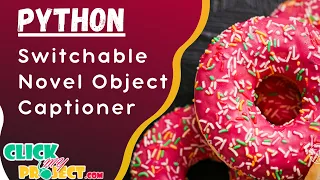 Python Image processing - Switchable Novel Object Captioner