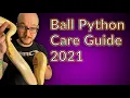 How to Care For A Ball Python in 2021