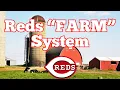 Reds Minor League System