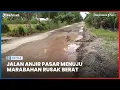 Download Lagu Rusak Berat, Beginilah Kondisi Jalan Anjir Pasar Menuju Marabahan di Desa Gandaria