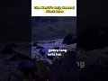 Download Lagu the story of black rose 🖤.#facts #shorts