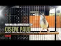 Lagu suara burung CIBLEK GACOR NGEBREN Pancingan Ciblek Semi bahan jadikan ciblek kristal gacor Tarung