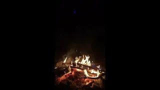 Briya Full Version Cover طاحو عينيها في عينيا 