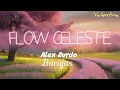 FLOW CELESTE | ALEX ZURDO X BARAJAS (letra )