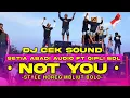 Download Lagu DJ CEK SOUND | NOT YOU - BASS SIPALING GLEERR - SETIA ABADI AUDIO FT QIPLI BDL