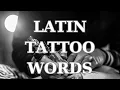 The Most Powerful Latin Tattoo Quotes Full of Deep Meanings