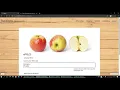 - Project 2 commerce