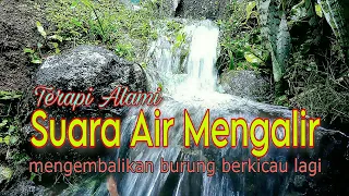 gemericik air mengalir jernih dan alami, suara air terapi burung